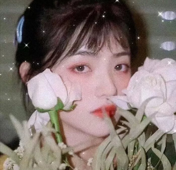 放飞理想