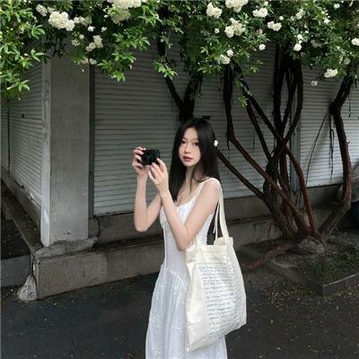 北极故事